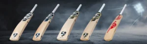 Read more about the article Cricket Bat : A Masterpiece of the Gentleman’s Game