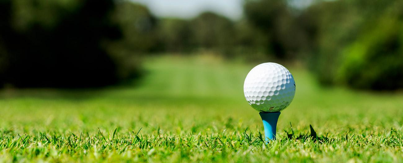 Read more about the article Learn How to Play Golf